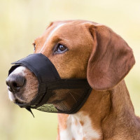 Намордники для собак - Trixie Muzzle, Nylon. Size M- L, Snoup strap 23-31 cm, 5.9cm