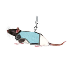 Krūšu siksna žurkām - Trixie Soft harness with leash, rats, 12–18 cm, 1.20 m