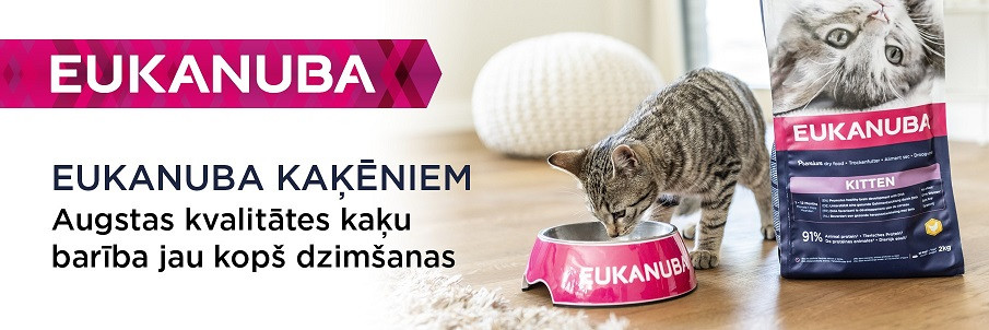 eukanuba cat