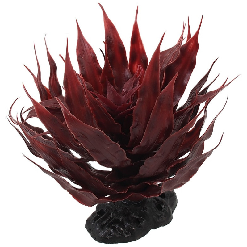 Dekors terārijam : Repti Planet Agave succulent red, 18 cm